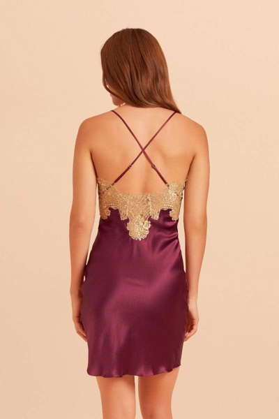 Gilda & Pearl Gina Short Silk And Lace Slip