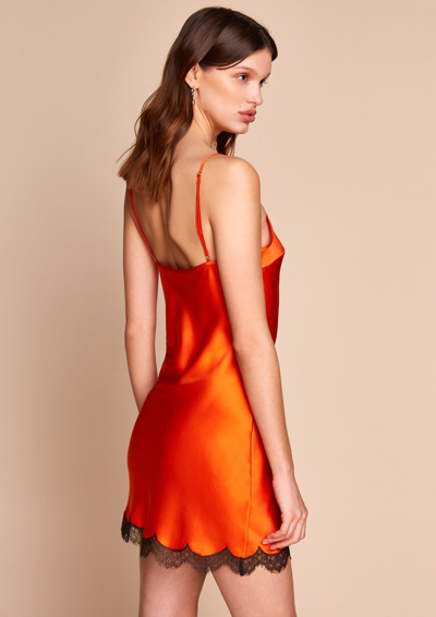 Gilda & Pearl Silk Lace-trim Josephine Slip Dress In  Jewel/black