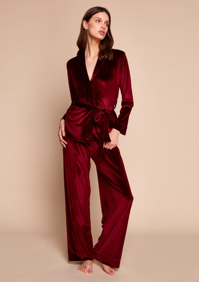 Shop Gilda & Pearl Saratoga Damson Velvet Pyjama