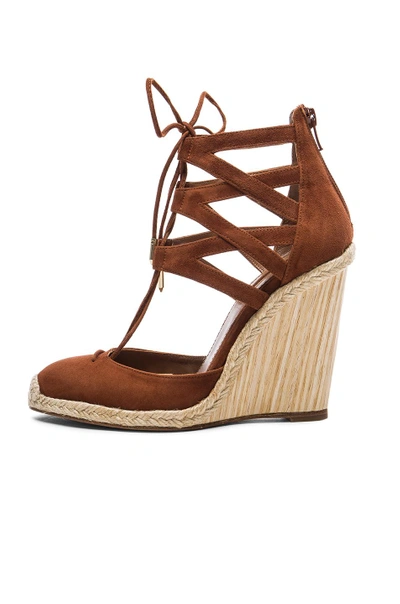 Shop Aquazzura Suede Belgravia Wedges In Luggage