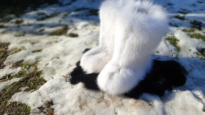 Pre-owned Litvin Arctic Fox Fur Boots For Women, Winter Snow Boots, Mukluks,  In White