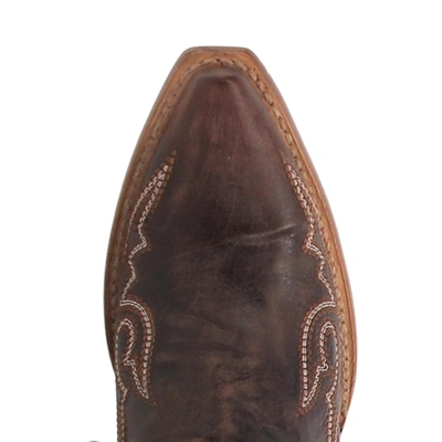 Pre-owned Dan Post ® Ladies Kommotion Chocolate Snip Toe Tall Leather Boot Dp4342 In Brown