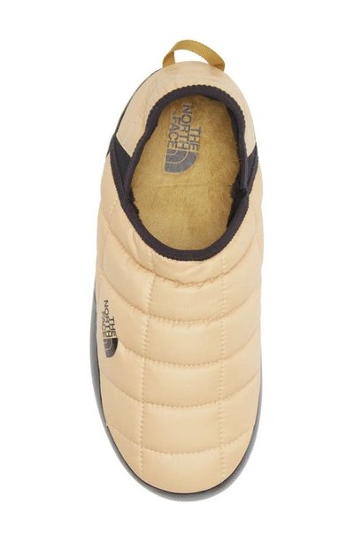Shop The North Face Thermoball™ Traction Water Resistant Slipper In Antelope Tan