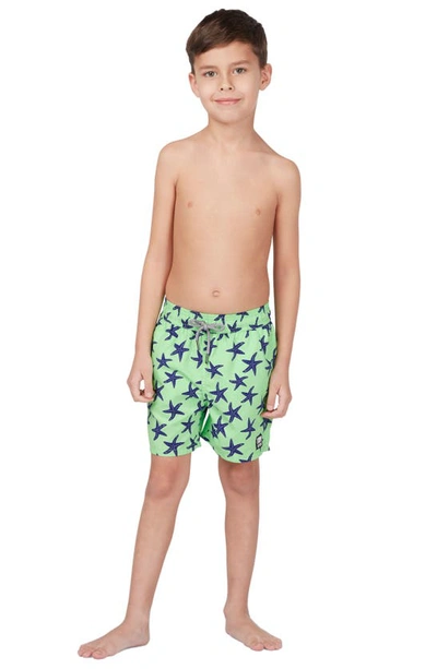 Shop Tom & Teddy Kids' Starfish Print Swim Trunks In Pale Green