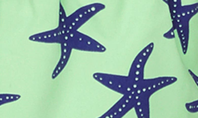 Shop Tom & Teddy Kids' Starfish Print Swim Trunks In Pale Green
