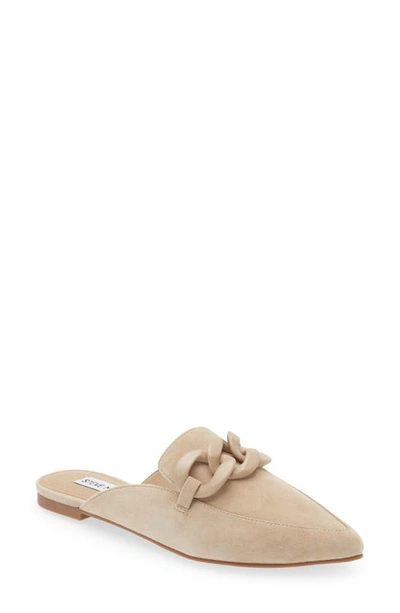 Shop Steve Madden Fleur Pointed Toe Mule In Sand Suede