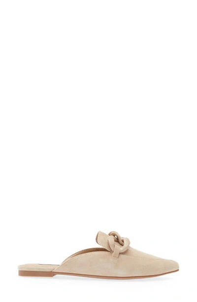 Shop Steve Madden Fleur Pointed Toe Mule In Sand Suede