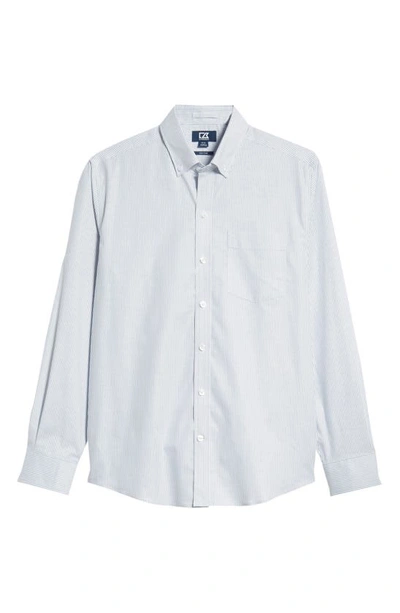 Cutter & Buck Classic Fit Stripe Stretch Oxford Shirt In Light Blue