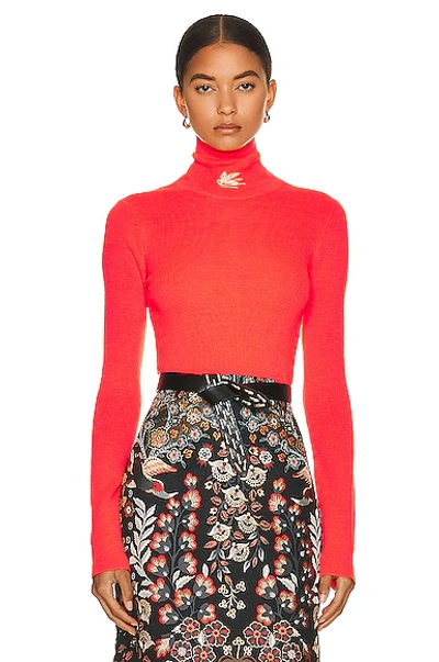 Shop Etro Long Sleeve Cropped Turtleneck In Rosa