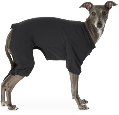 Shop Snow Peak Black Dwr Comfort Dog Jacket