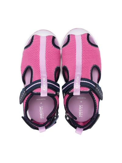 Geox Wader Touch-strap Sandals In 粉色