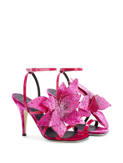 Shop Giuseppe Zanotti Florant Velvet Sandals In Pink