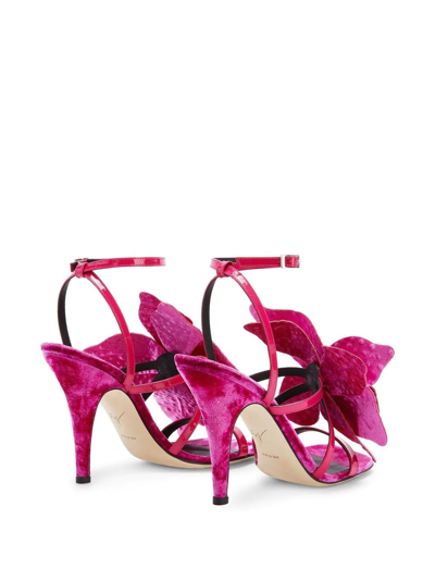 Shop Giuseppe Zanotti Florant Velvet Sandals In Pink
