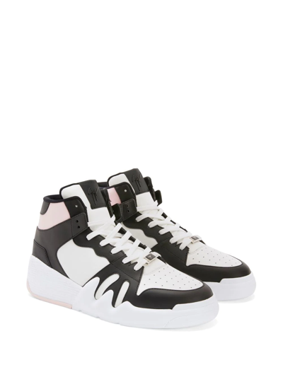 Giuseppe Zanotti Talon High-top Sneakers In Pink
