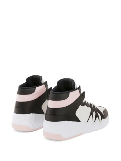 Shop Giuseppe Zanotti Talon High-top Sneakers In Pink