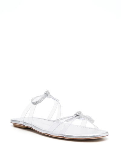 Stuart Weitzman Sw Bow Slides In 白色