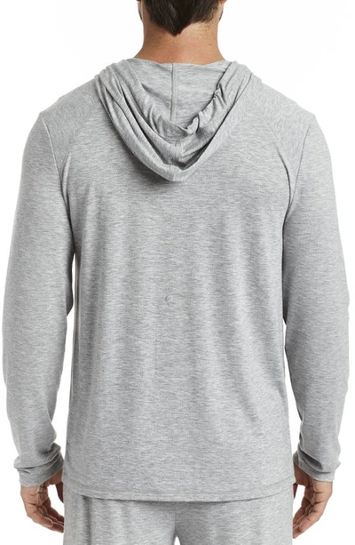 Shop Rainforest Brushed Jersey Hoodie In Grey Heather