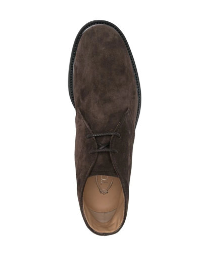 Shop Tod's Suede Desert Boots In Brown