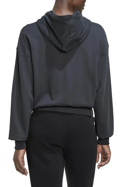 Shop Adidas Originals Organic Cotton Blend Hoodie In Carbon