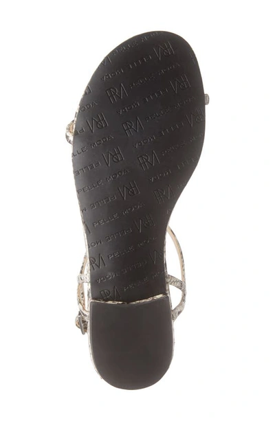 Shop Pelle Moda Barber T-strap Sandal In Black/ White Snake Print