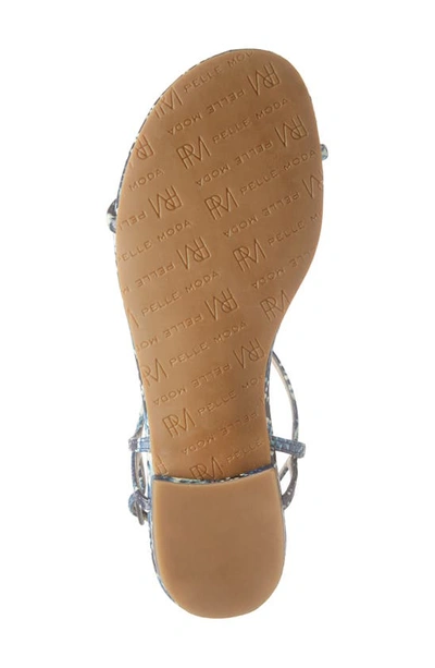 Shop Pelle Moda Barber T-strap Sandal In Indigo Snake Print