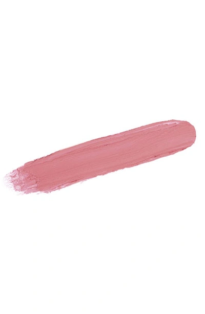 Shop Sisley Paris Phyto-blush Twist In 2 Fuchsia