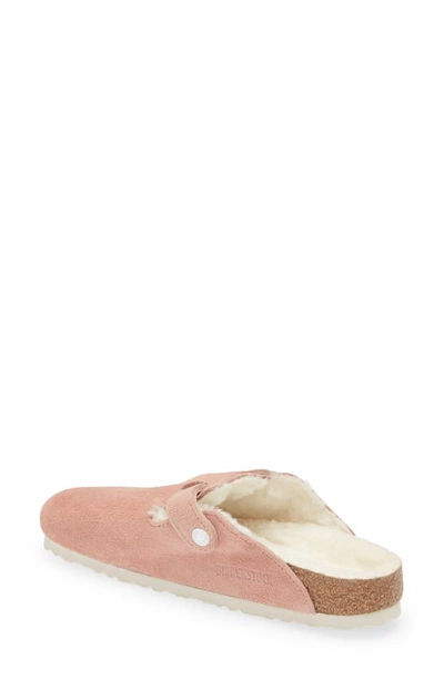 Shop Birkenstock Boston Genuine Shearling Lined Clog In Pink Clay/ Natural