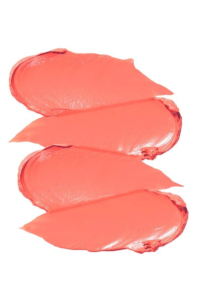 Monika Blunder Liquid Flush Cheek Tint Blush In Salzburg