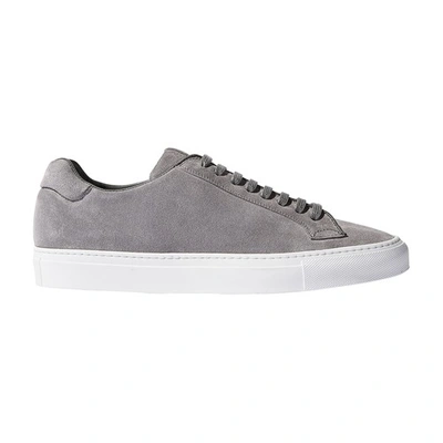 Shop Scarosso Ugo Sneakers In Grey Suede