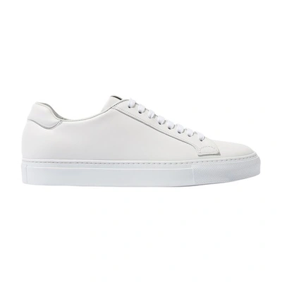Shop Scarosso Ugo Sneakers In White Calf