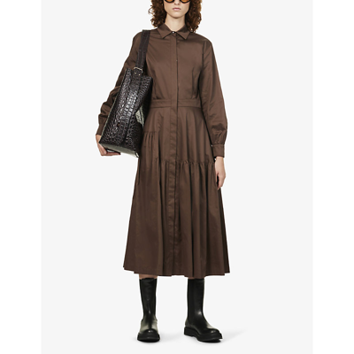 Shop Max Mara Olimpia Collared Cotton Midi Dress In Brown