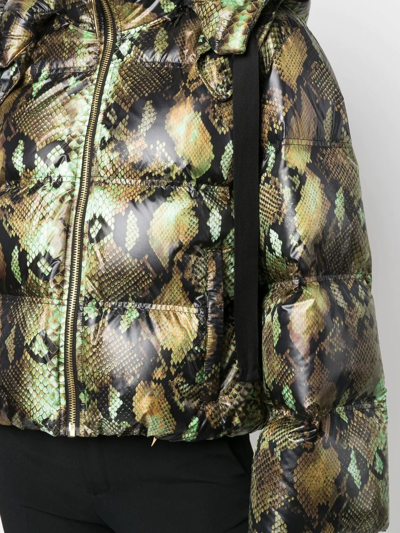 Shop Roberto Cavalli Snakeskin-print Padded Jacket In Green