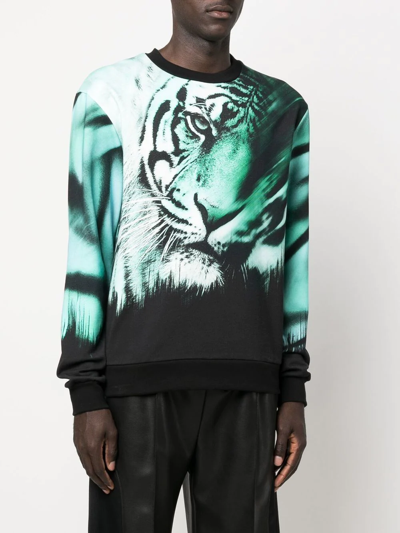 Shop Roberto Cavalli Tiger-print Sweatshirt In Black