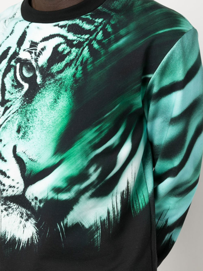 Shop Roberto Cavalli Tiger-print Sweatshirt In Black