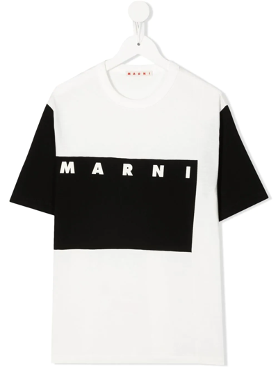 Shop Marni Logo Colour-block T-shirt In White