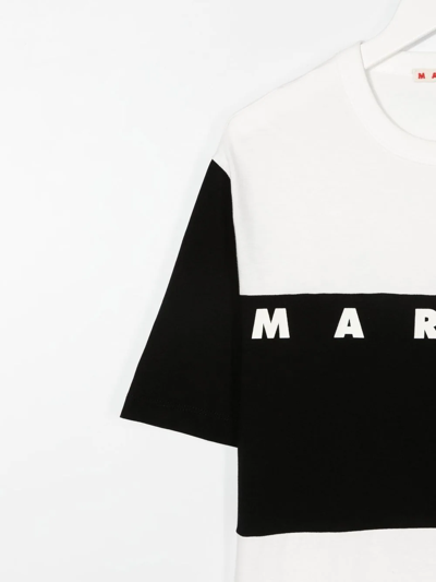 Shop Marni Logo Colour-block T-shirt In White