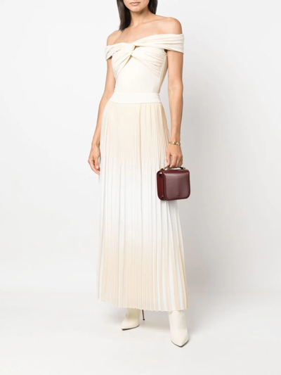 Shop Peserico Pleated Maxi Skirt In Neutrals