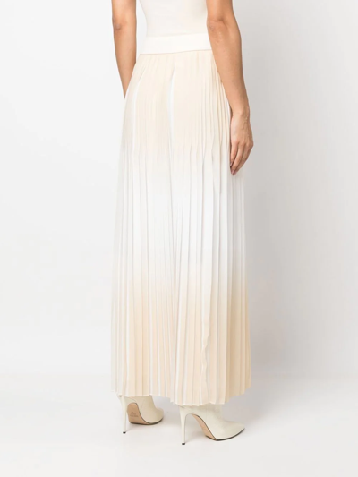 Shop Peserico Pleated Maxi Skirt In Neutrals