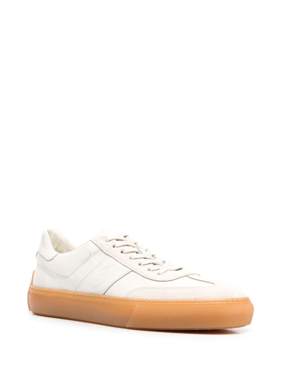 Shop Tod's Lace-up Low-top Sneakers In Neutrals