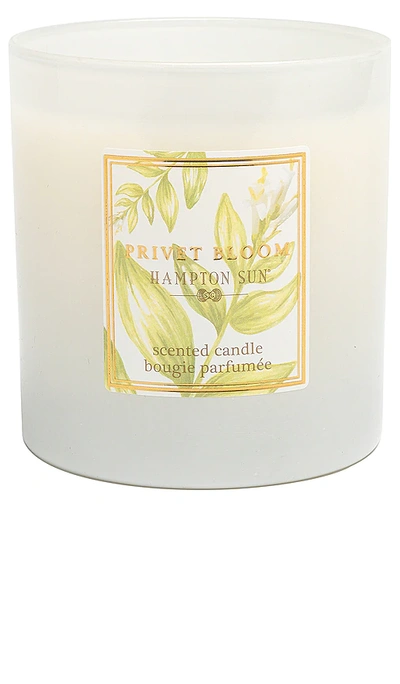 Shop Hampton Sun Privet Bloom Candle In N,a