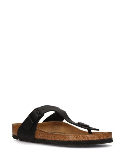 Shop Birkenstock Gizeh Birko-flor Sandals In Black