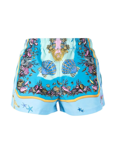Shop Versace Shell Print Swimming Shorts In Blue