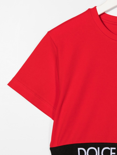 Shop Dolce & Gabbana Logo-band Crop T-shirt In Red