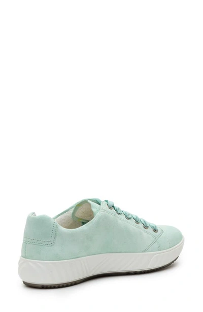 Ara Alexandria Suede Sneaker In Water