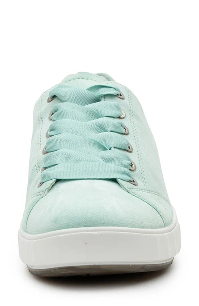 Ara Alexandria Suede Sneaker In Water