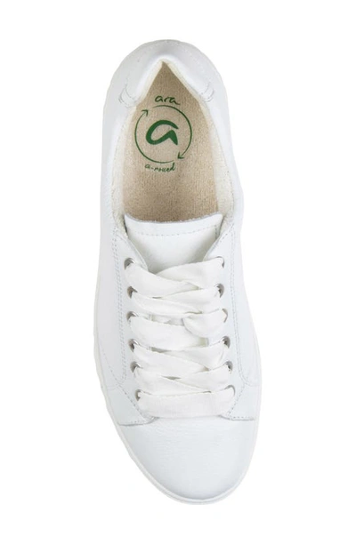 Shop Ara Alexandria Suede Sneaker In White