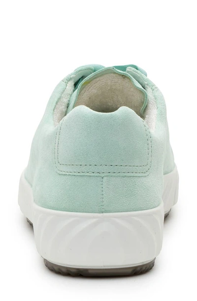 Ara Alexandria Suede Sneaker In Water