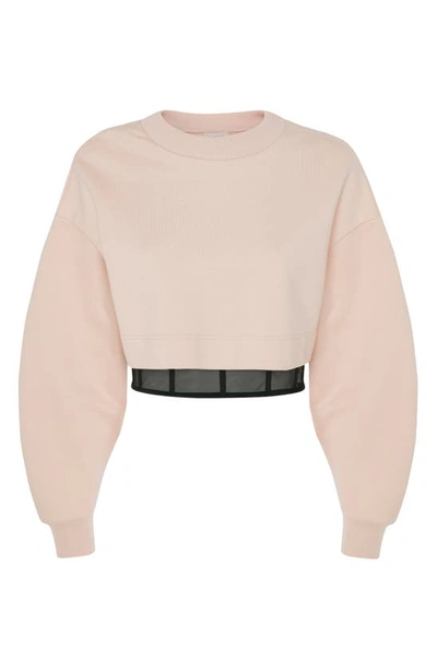 Shop Alexander Mcqueen Crop Bustier Underlay Cotton Sweatshirt In Tea Rose