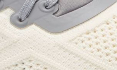 Shop Apl Athletic Propulsion Labs Techloom Tracer Knit Training Shoe In Grey/ Beige