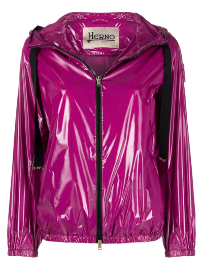 Shop Herno `gloss` Jacket In Purple